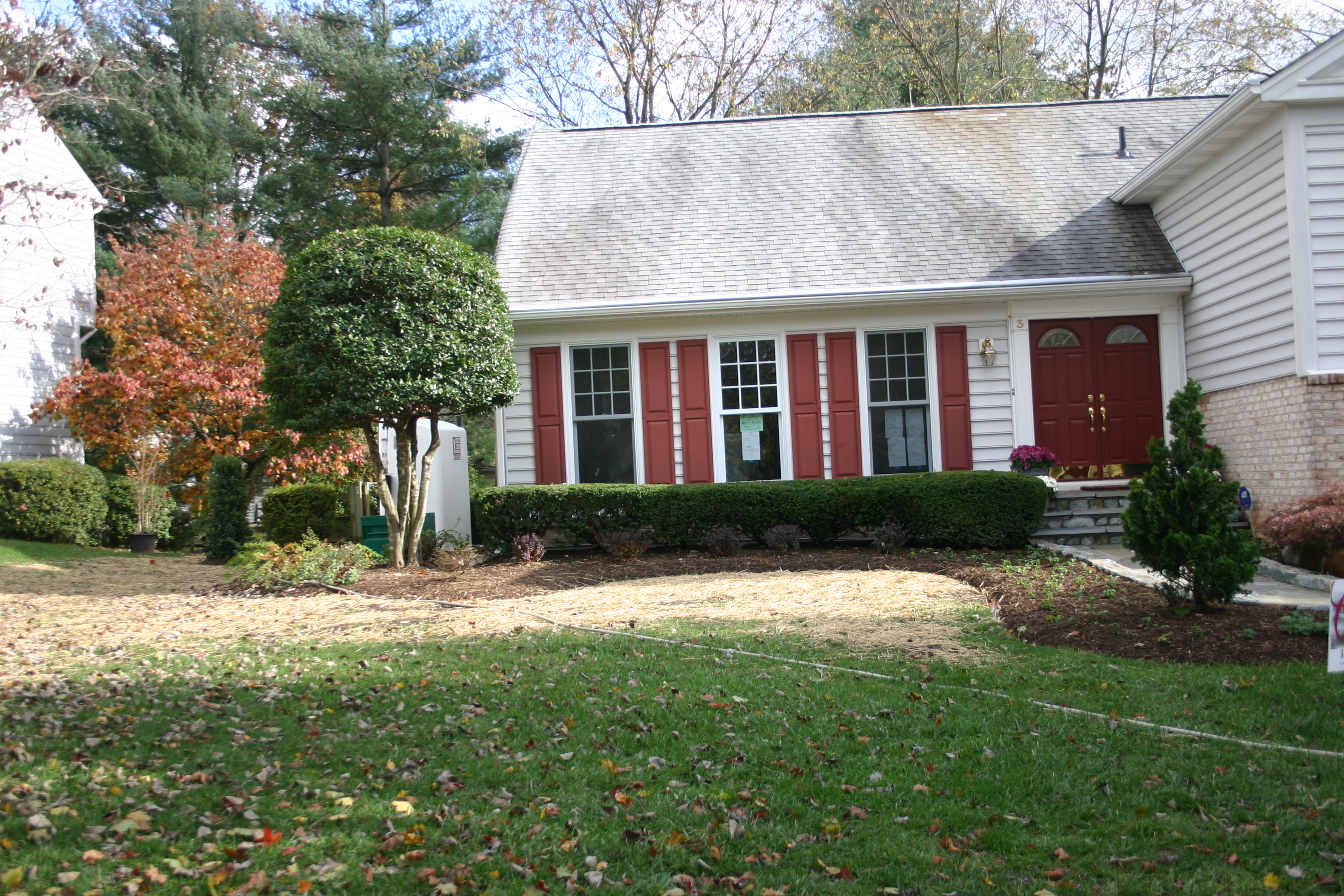 Back-yard in Rockville, MD, USA