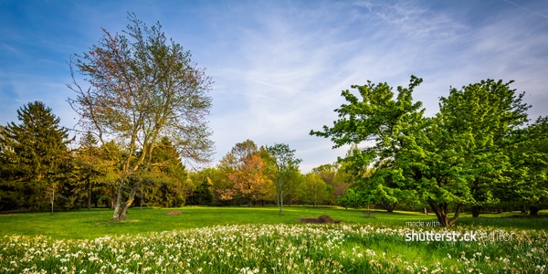 Beautiful garden in mid-atalntic USA