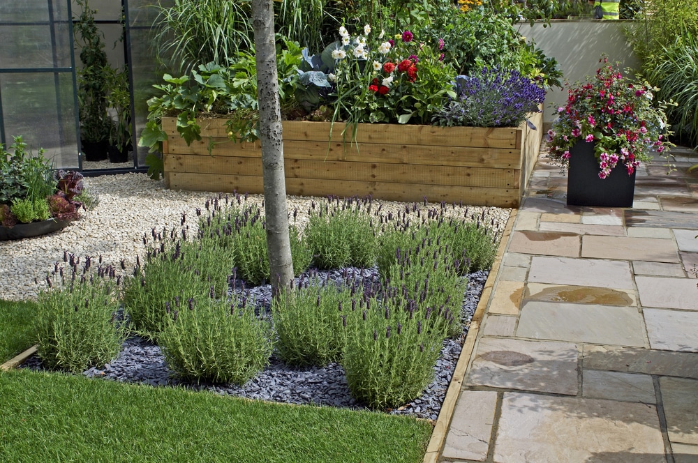 terrace garden with raised beds and container