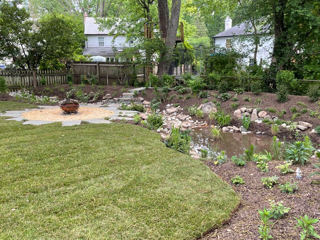 rain garden in Chevy Chase, MD, USA